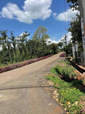Đất Nền BRVT 550tr👉5m x 23m có 80m2 thổ cư đường nhựa tại BRVT. Mua bán đất tại Huyện Châu Đức Bà Rịa - Vũng Tàu được đăng bởi Cát Tường Như Ý