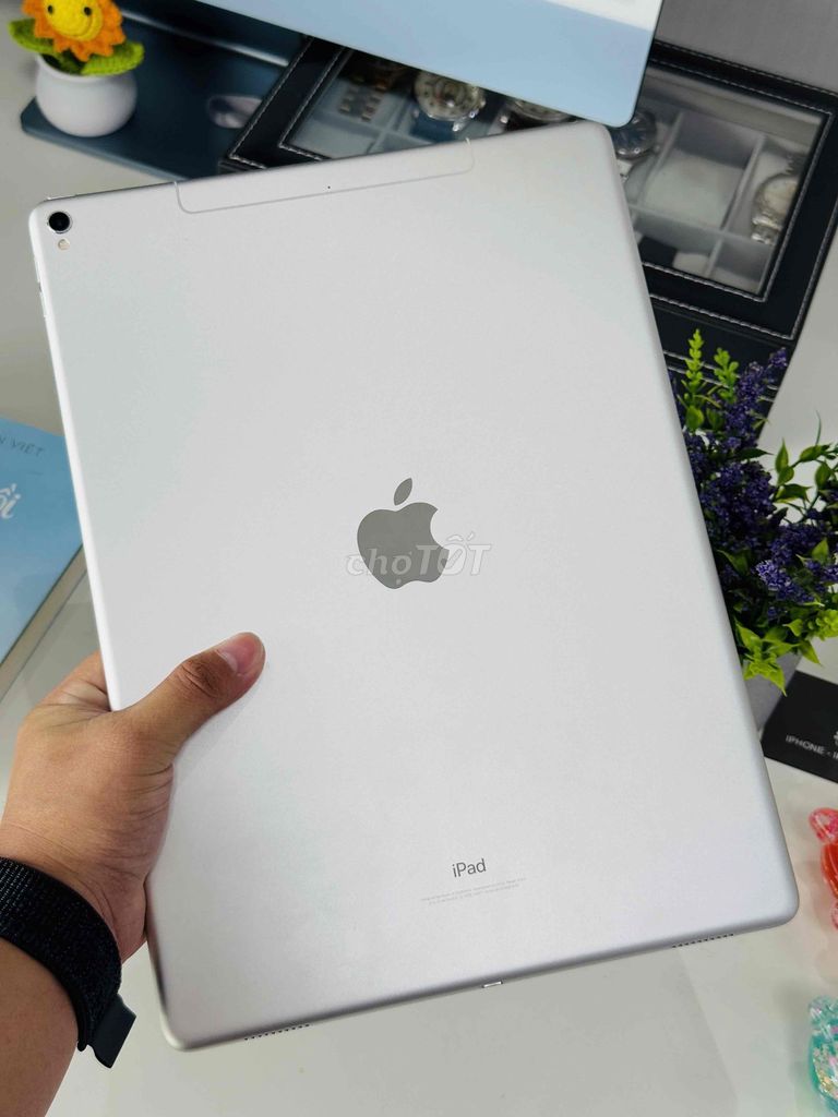 iPad Pro 2017 12.9inch 64GB + 4G