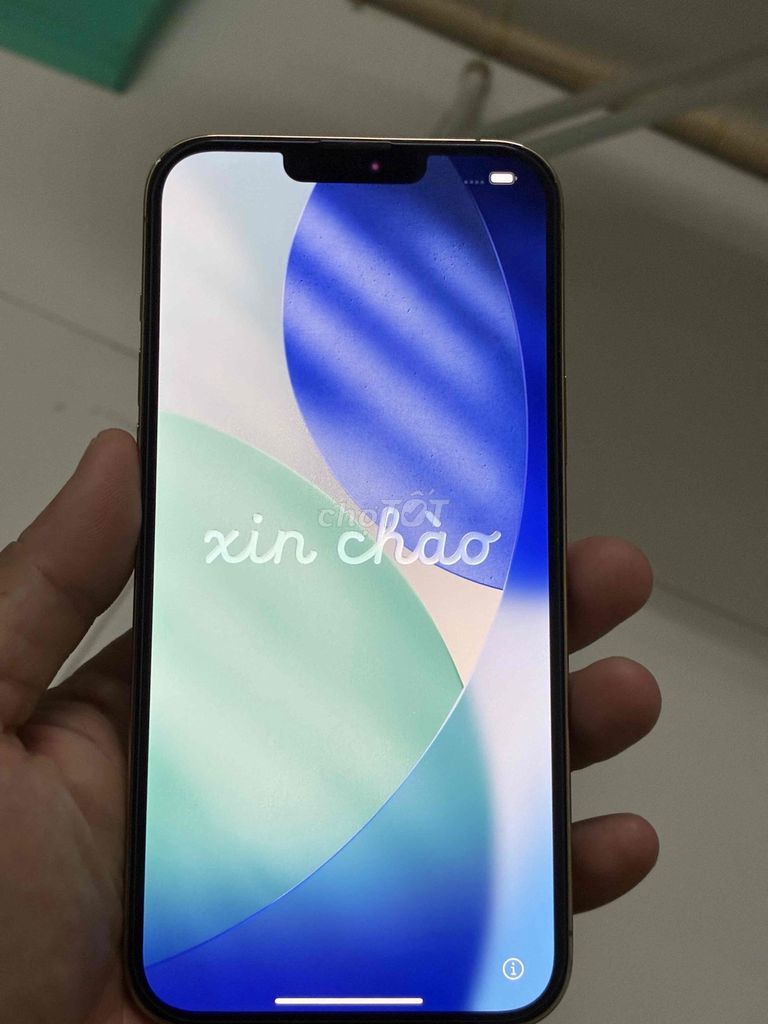 Apple iPhone 13 Pro Max 256GB Vàng Đã sử dụng. Mua bán Điện thoại tại Thành phố Long Xuyên An Giang được đăng bởi Leopard Vo hình 1