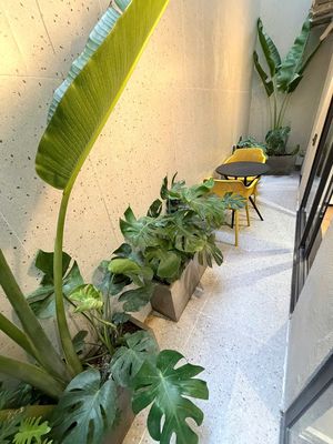 Rent · 1 bd · 45 м² · Quận Ngũ Hành Sơn, ул. Đường Võ Nguyên Giáp