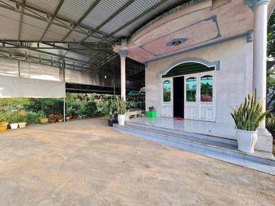 bán đất tặng nhà cấp 4 cũ diện tích 1000m2/280tr