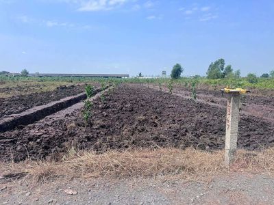 460t đất vườn 1000m²(11,5×87)m, xe hơi đỗ truóc đất,cao ráo,sổ sẵn,TLg