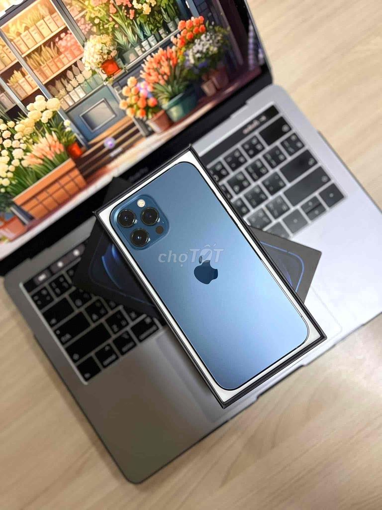 iPhone 12 Pro Max 256GB Xanh FULLBOX APPLE 04/2023. Mua bán Điện thoại tại Quận 10 Tp Hồ Chí Minh được đăng bởi iStockHCM hình 1