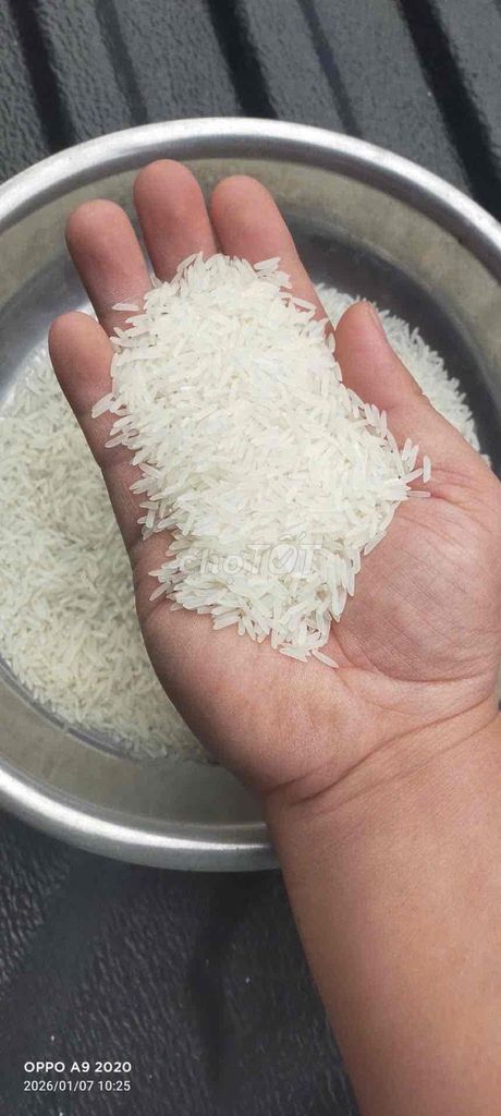 Gạo ST25 Tiền Giang 10kg. Mua bán Đồ ăn, thực phẩm và các loại khác tại Quận Hoàng Mai Hà Nội được đăng bởi Hong Hanh hình 1