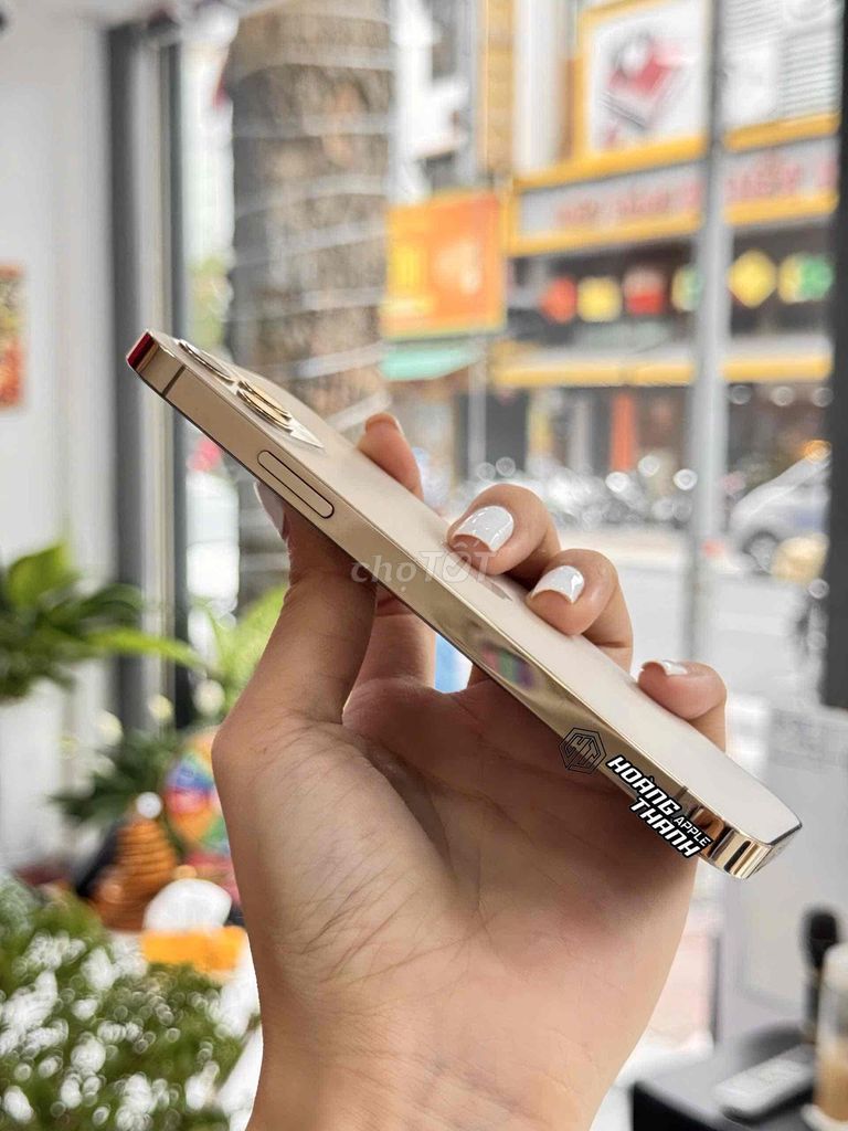 12 Pro gold. Sang trọng đẳng cấp. Có trả góp.. Mua bán Điện thoại tại Thành phố Mỹ Tho Tiền Giang được đăng bởi Hoàng Thành Apple hình 1