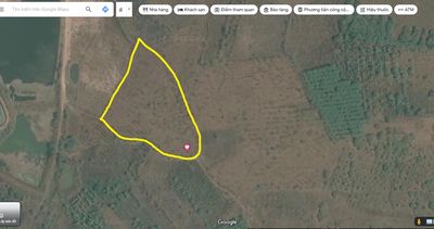 Bán 8.269,6 m2 đất nông nghiệp tại tỉnh Daklak
