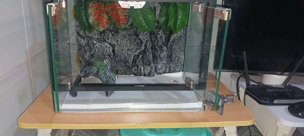 Bể kính nuôi bò sát 40x30x30. Mua bán Phụ kiện, Thức ăn, Dịch vụ tại Quận Bình Tân Tp Hồ Chí Minh được đăng bởi kinhkinh hình 1