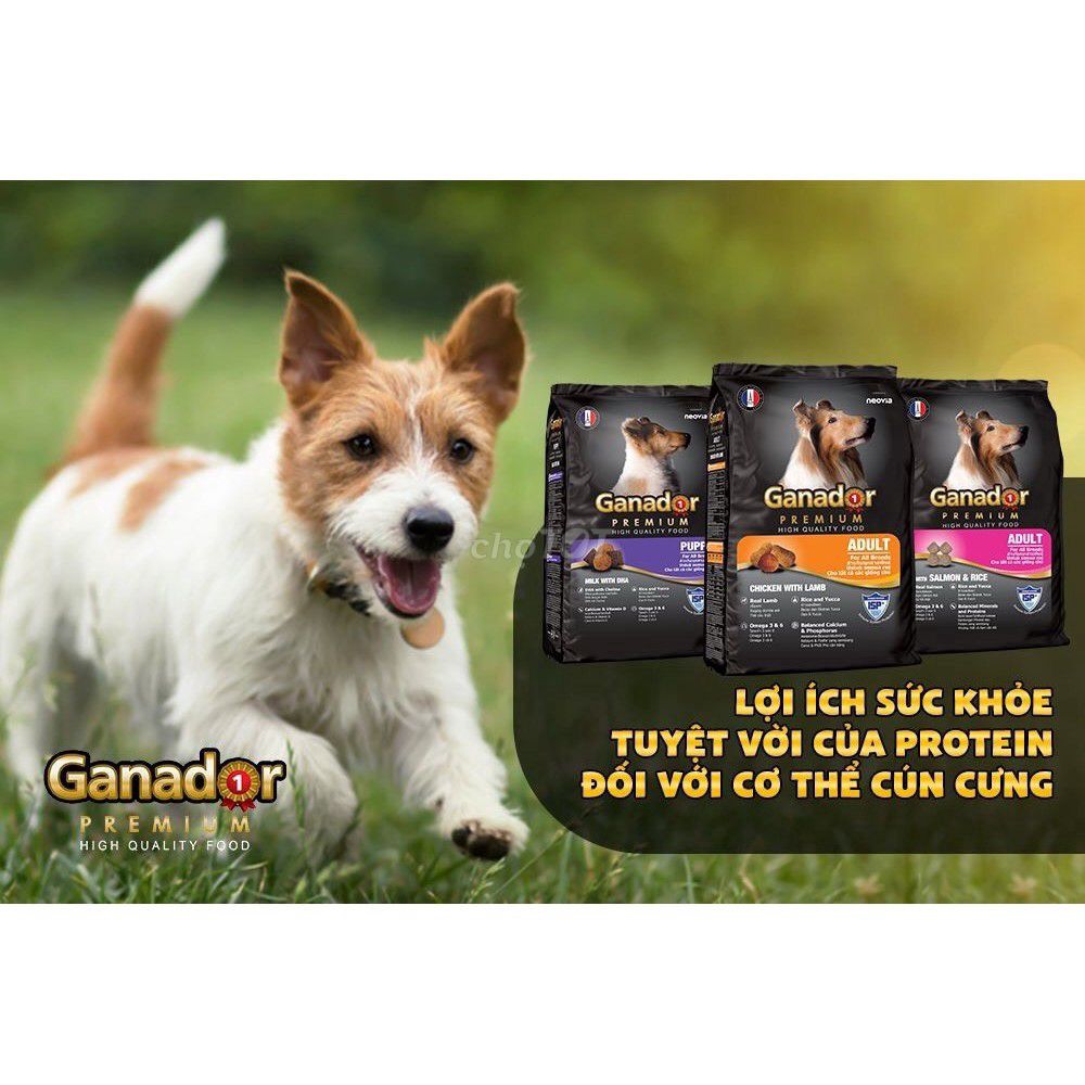 3KG Thức Ăn Hạt Cho Chó Ganador Vị Cá Hồi & Gạo. Mua bán Phụ kiện, Thức ăn, Dịch vụ tại Quận Phú Nhuận Tp Hồ Chí Minh được đăng bởi Mr Thao hình 4