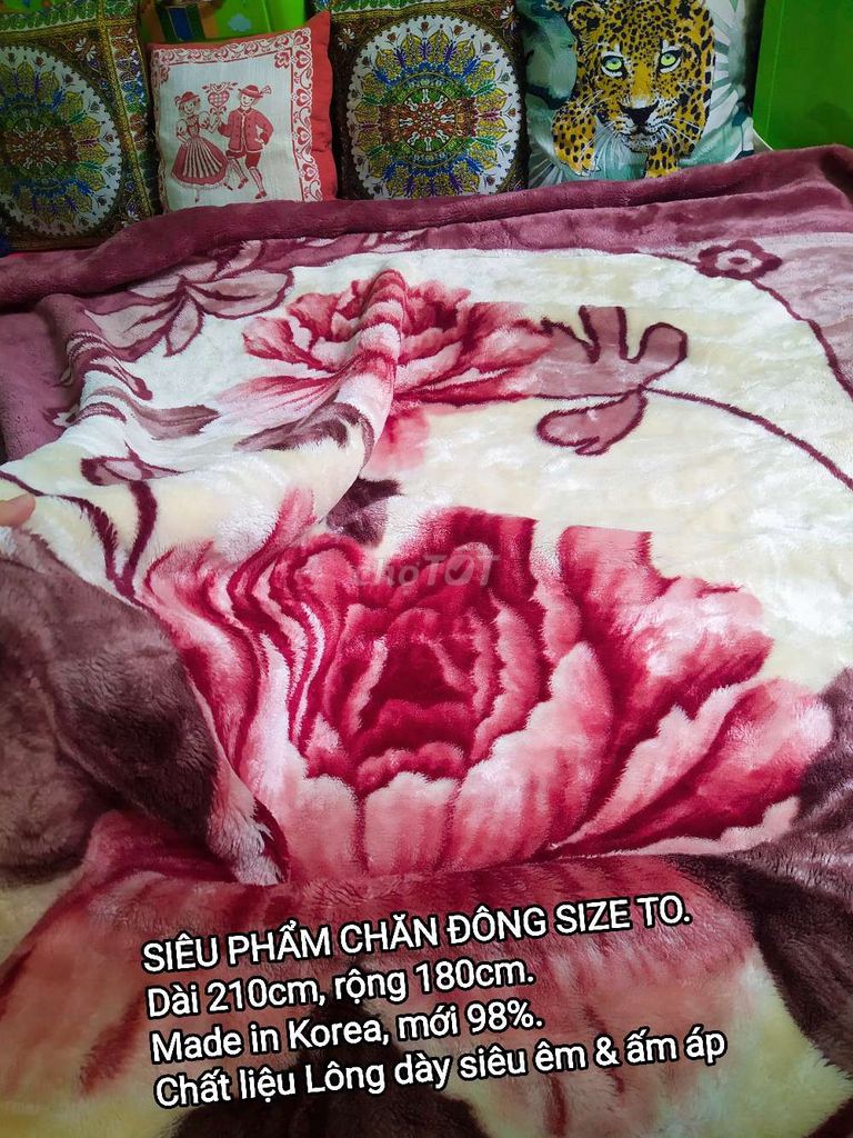 SIÊU PHẨM CHĂN ĐÔNG King size (KOREA).A28. Mua bán Giường, chăn ga gối nệm tại Quận Bình Thạnh Tp Hồ Chí Minh được đăng bởi Vũ Tâm Phượng hình 1