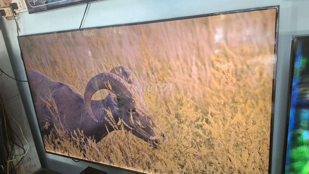 Tivi Samsung QLED 65 inch Âm thanh vòm. Mua bán Tivi, Âm thanh tại Huyện Châu Thành Tiền Giang được đăng bởi trongduy hình 1