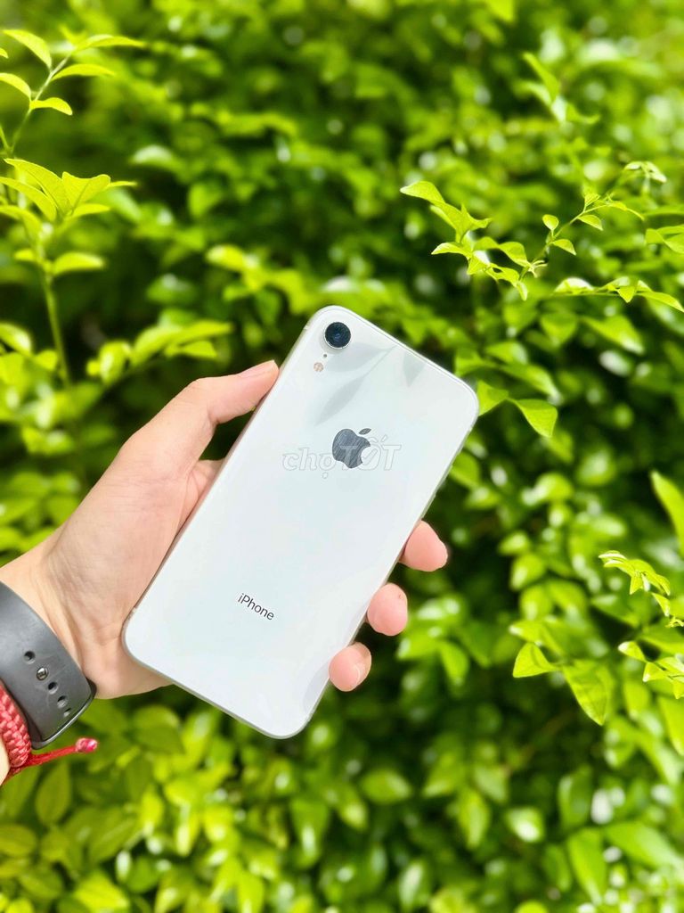 Apple iPhone XR 256GB Trắng Đã sử dụng. Mua bán Điện thoại tại Quận 8 Tp Hồ Chí Minh được đăng bởi Huy hình 1