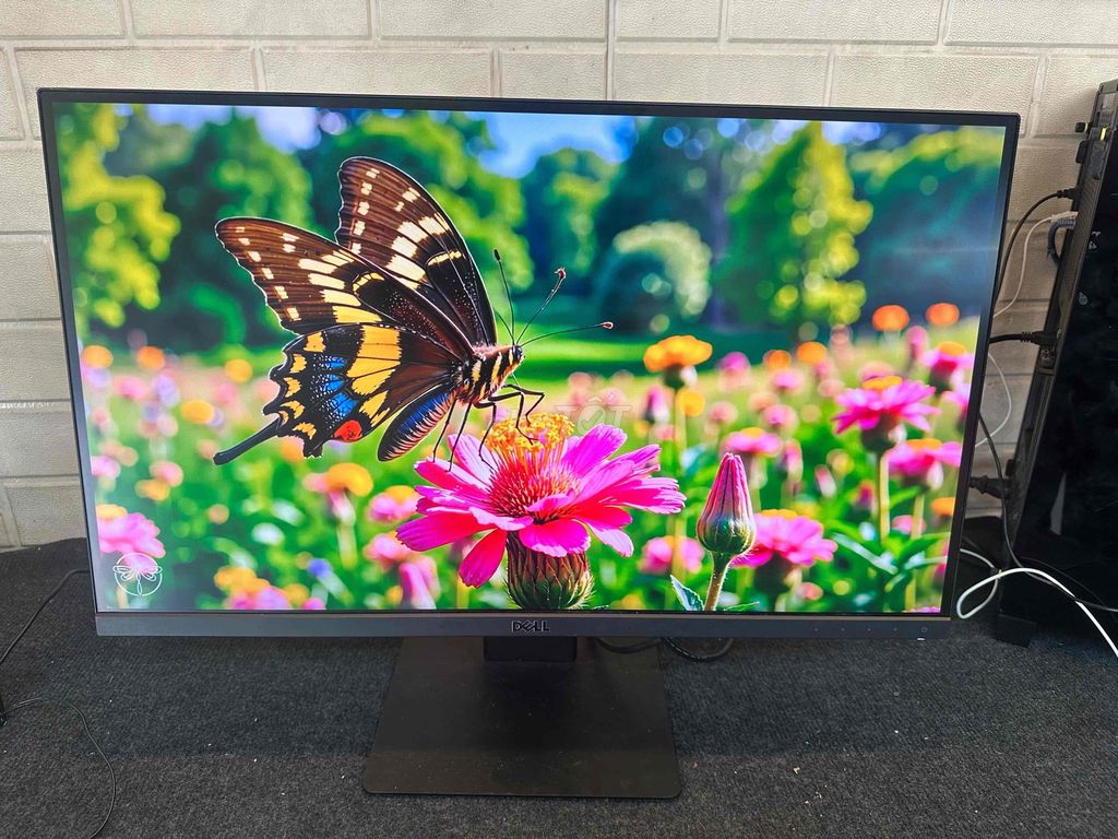 Màn 2K chuyên đồ hoạ Dell 25Inch Ultrasharp. Mua bán Phụ kiện (Màn hình, Chuột...) tại Quận Phú Nhuận Tp Hồ Chí Minh được đăng bởi tiến tài 770 nguyễn kiệm p4 quận phú nhuận hình 1