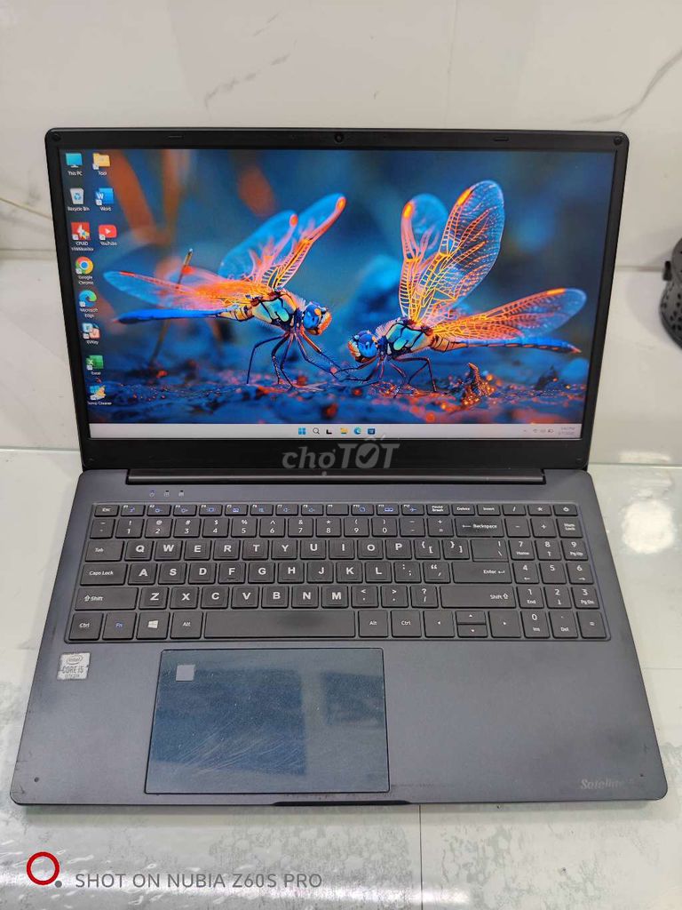 Toshiba Satellite Pro C50-H i5-1035G1. Mua bán Laptop tại Quận Tân Phú Tp Hồ Chí Minh được đăng bởi T COMPUTER hình 1