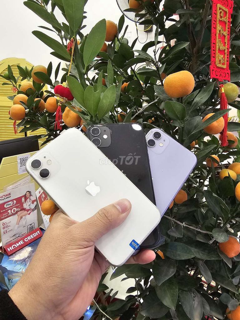 Bán Iphone 11 Quốc tế Nguyên. Zin