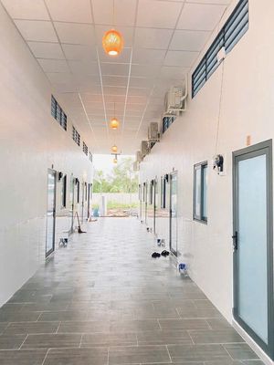 🔥 BÁN DÃY TRỌ THU NHẬP ỔN ĐỊNH – 246m² – 1 KIOT + 8 PHÒNG 🔥