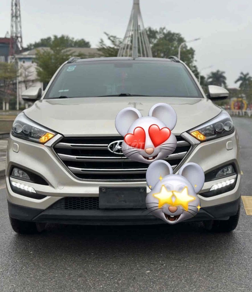 Ảnh số 4