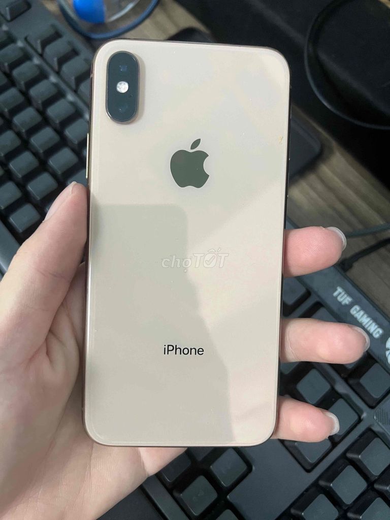 iPhone XS 64GB Mất Face ID,Màn zin bốc máy. Mua bán Điện thoại tại Huyện Hòa Bình Bạc Liêu được đăng bởi Nhan hình 1