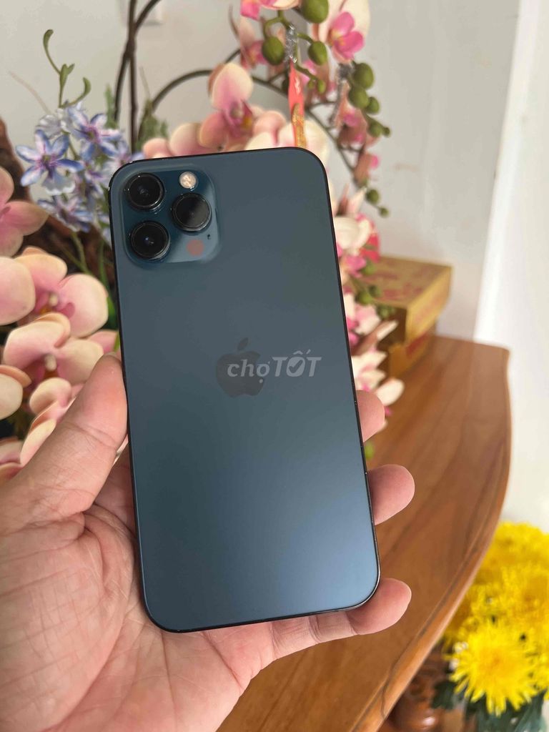 Apple iPhone 12 Pro Max 128GB Xanh công ty. Mua bán Điện thoại tại Thành phố Buôn Ma Thuột Đắk Lắk được đăng bởi Tèo Điện Thoại  hình 1