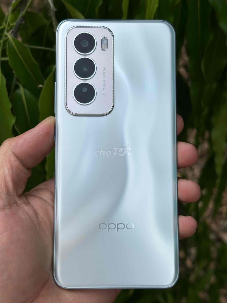 OPPO Reno 12 5G 256GB Bạc. Mua bán Điện thoại tại Thị xã Bến Cát Bình Dương được đăng bởi Anh Tuấn hình 1