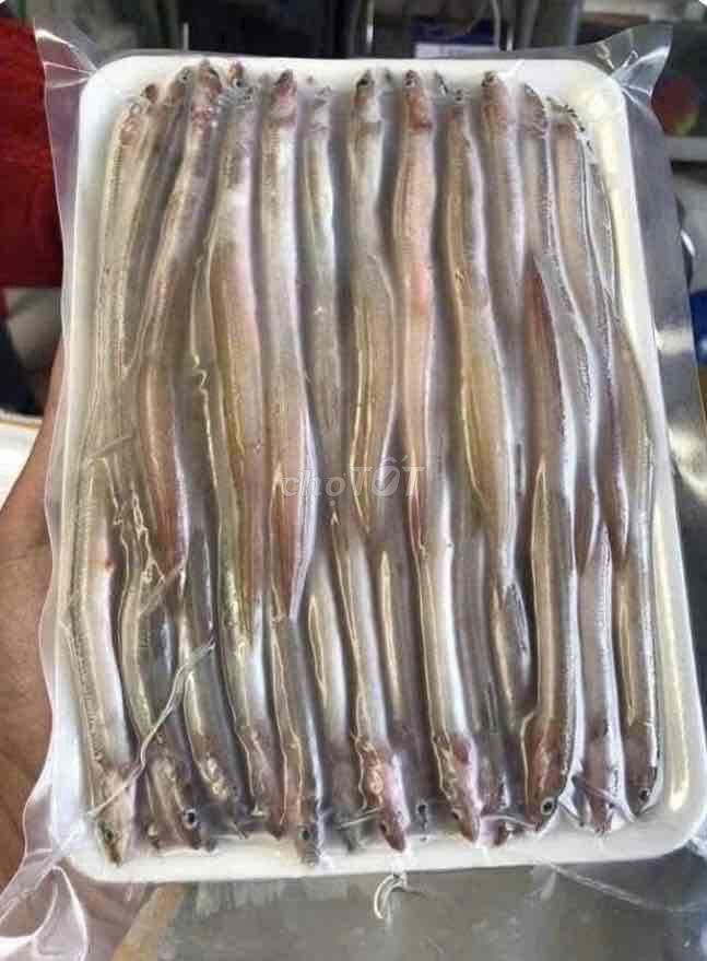 Cá sụn sịn 1 nắng. Mua bán Đồ ăn, thực phẩm và các loại khác tại Quận Bình Thuỷ Cần Thơ được đăng bởi Quang Thinh hình 1