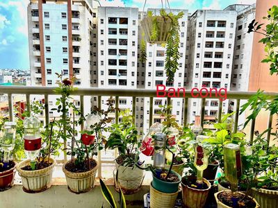 Apartment 70 m² · 2 bed · Bàu Cát II