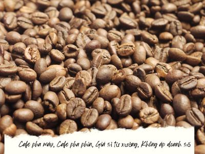 Cung cấp sỉ không áp doanh số cafe máy hạt loại 1. Mua bán Đồ ăn, thực phẩm và các loại khác tại Quận 12 Tp Hồ Chí Minh được đăng bởi Escovina coffee