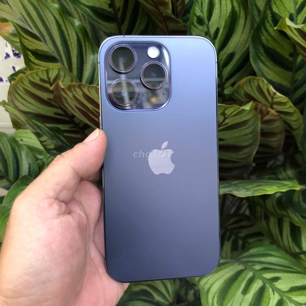 Apple iPhone 14 Pro 256GB Tím Đã dùng. Mua bán Điện thoại tại Quận 10 Tp Hồ Chí Minh được đăng bởi Thịnh hình 1