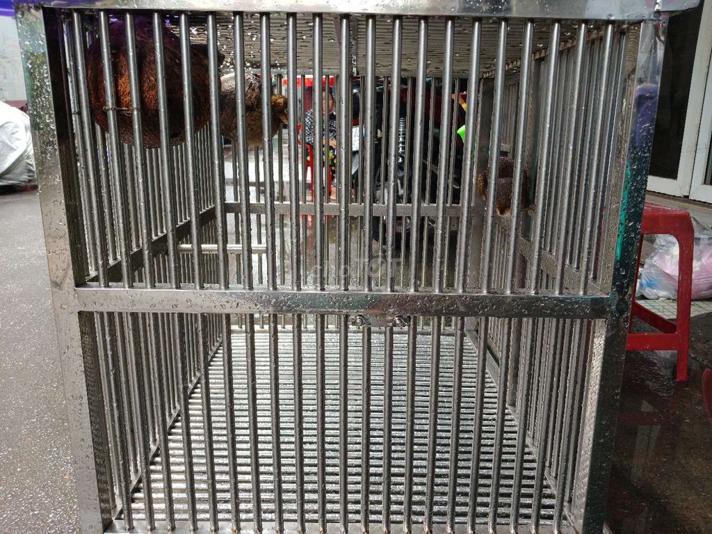 Chuồng inox nuôi thú cưng . Mua bán Phụ kiện, Thức ăn, Dịch vụ tại Quận 4 Tp Hồ Chí Minh được đăng bởi Duy hình 1