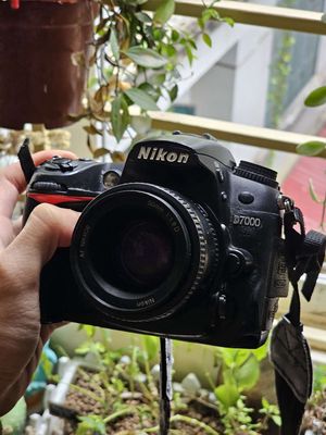 NIKON D7000 Lens Fix 50mm