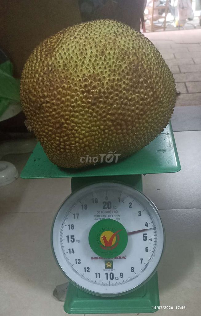 Mít tươi chín đều ngọt thơm. Mua bán Đồ ăn, thực phẩm và các loại khác tại Quận Long Biên Hà Nội được đăng bởi Nguyễn Thu Hằng hình 1