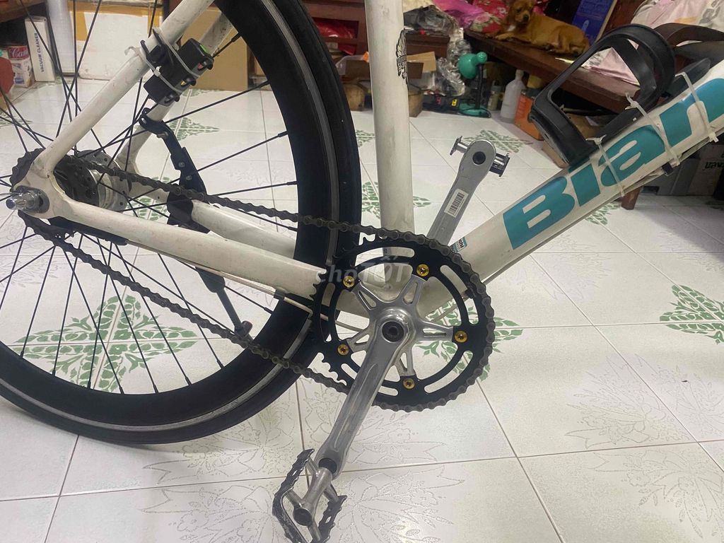 bianchi. Mua bán Xe đạp tại Quận 10 Tp Hồ Chí Minh được đăng bởi Thu Dinh hình 5