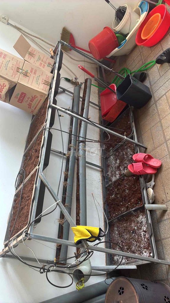 Giàn trồng rau Kim loại và 10 chậu trồng rau. Mua bán Nội thất, đồ gia dụng khác tại Thành phố Buôn Ma Thuột Đắk Lắk được đăng bởi Nguyễn Công Thức hình 1