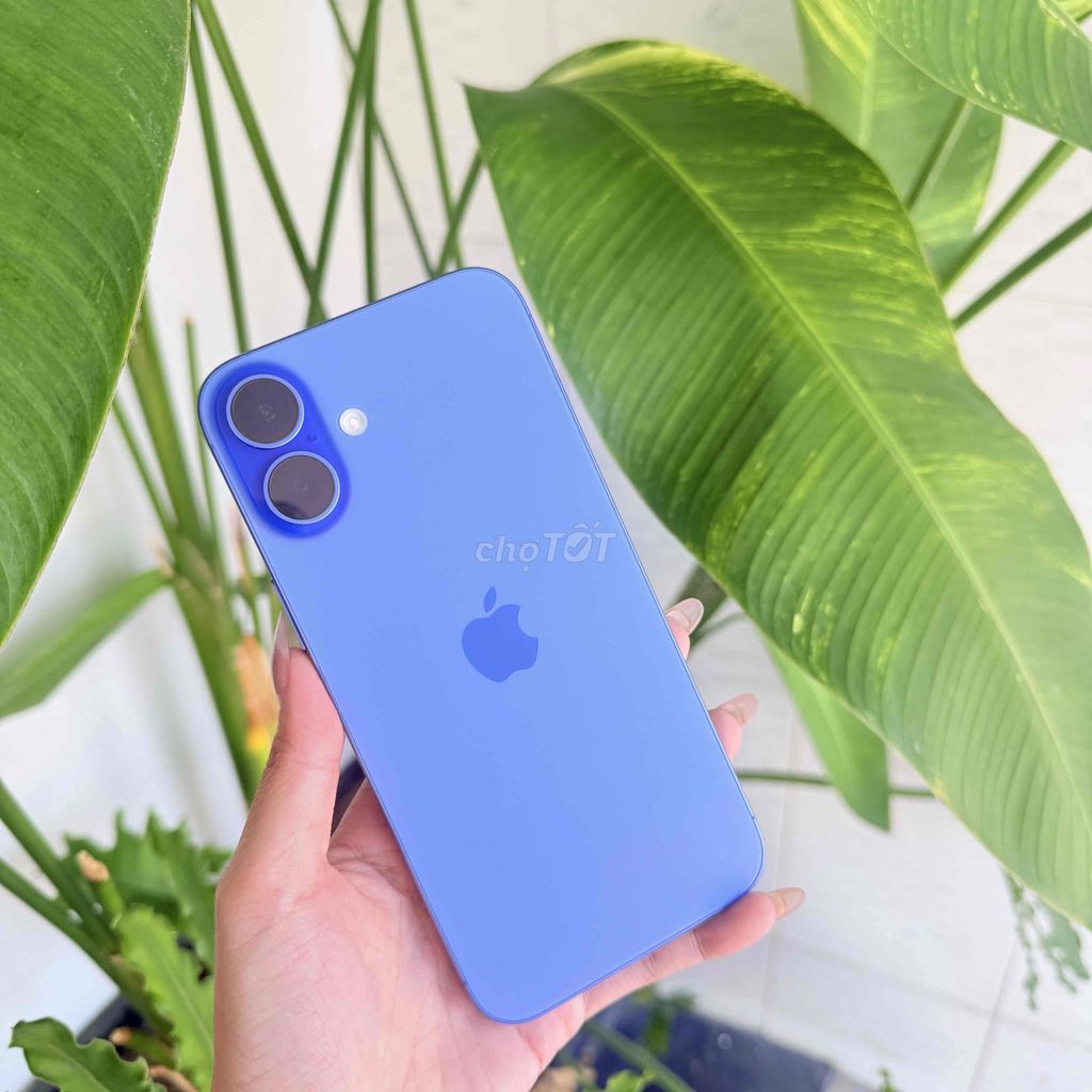 Apple iPhone 16 Plus 128GB Xanh. Mua bán Điện thoại tại Thành phố Cao Lãnh Đồng Tháp được đăng bởi Thiên Apple  hình 1