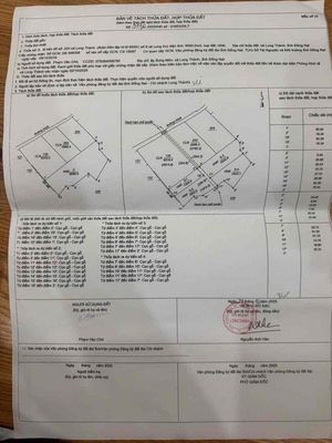 đất đường cây khế bưng môn phường long thành
