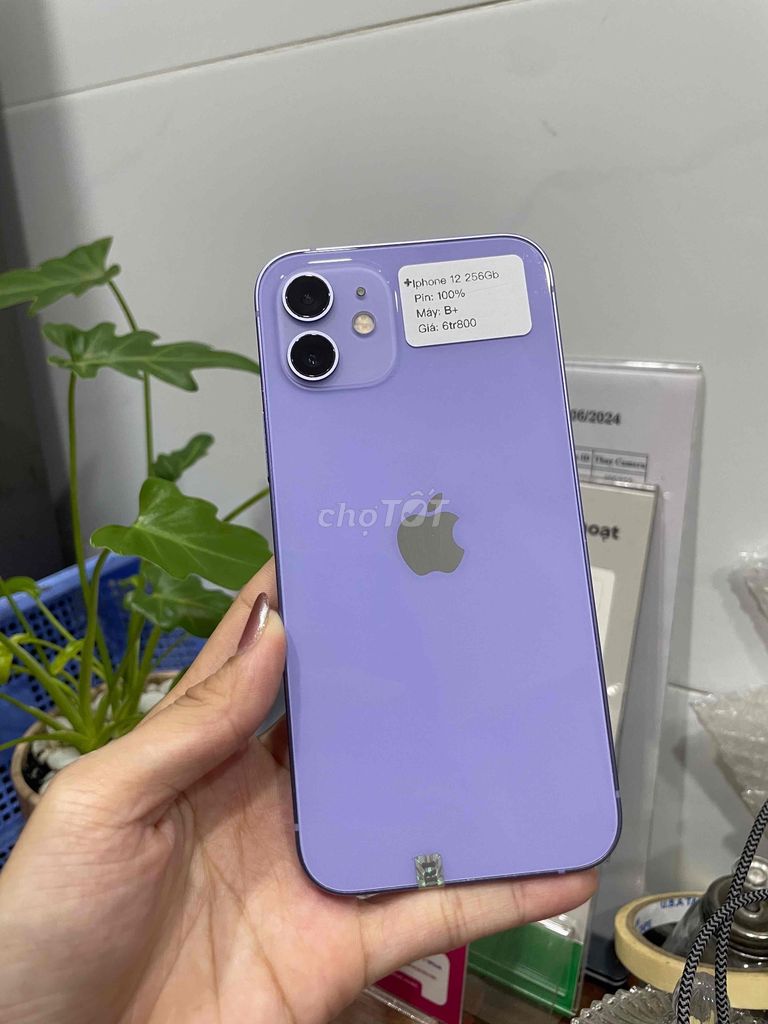 IPhone 12 256GB quốc tế Tím Zin đẹp Pin 100 😍. Mua bán Điện thoại tại Huyện Hóc Môn Tp Hồ Chí Minh được đăng bởi Luân Hoài hình 1