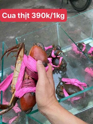 CUA CÀ MAU.. Mua bán Đồ ăn, thực phẩm và các loại khác tại Quận 7 Tp Hồ Chí Minh được đăng bởi Trung hình 1