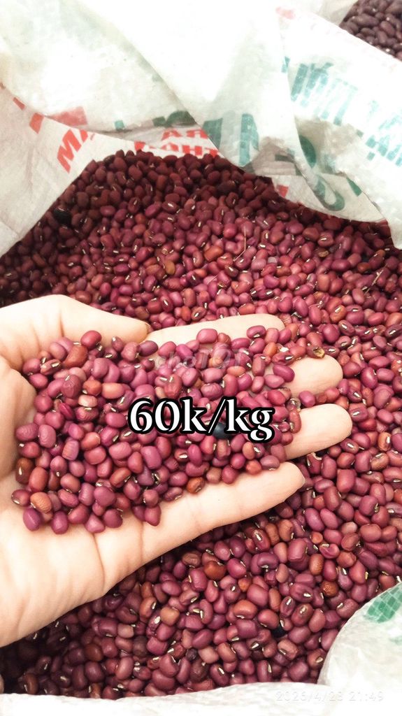 Đậu đỏ nhà trồng. Mua bán Đồ ăn, thực phẩm và các loại khác tại Huyện Hòa Vang Đà Nẵng được đăng bởi Nguyễn Thị Mến hình 1