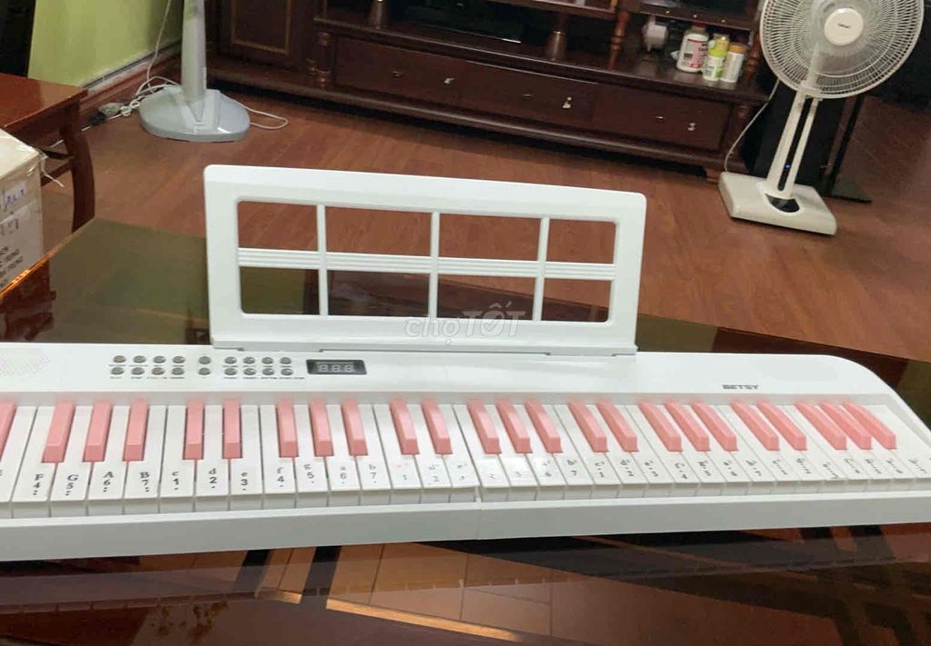 Đàn Organ Betsy 61 phím Trắng, Hồng cũ,gọn nhẹ.. Mua bán Nhạc cụ tại Quận Hai Bà Trưng Hà Nội được đăng bởi Nguyễn Gia Huy hình 1