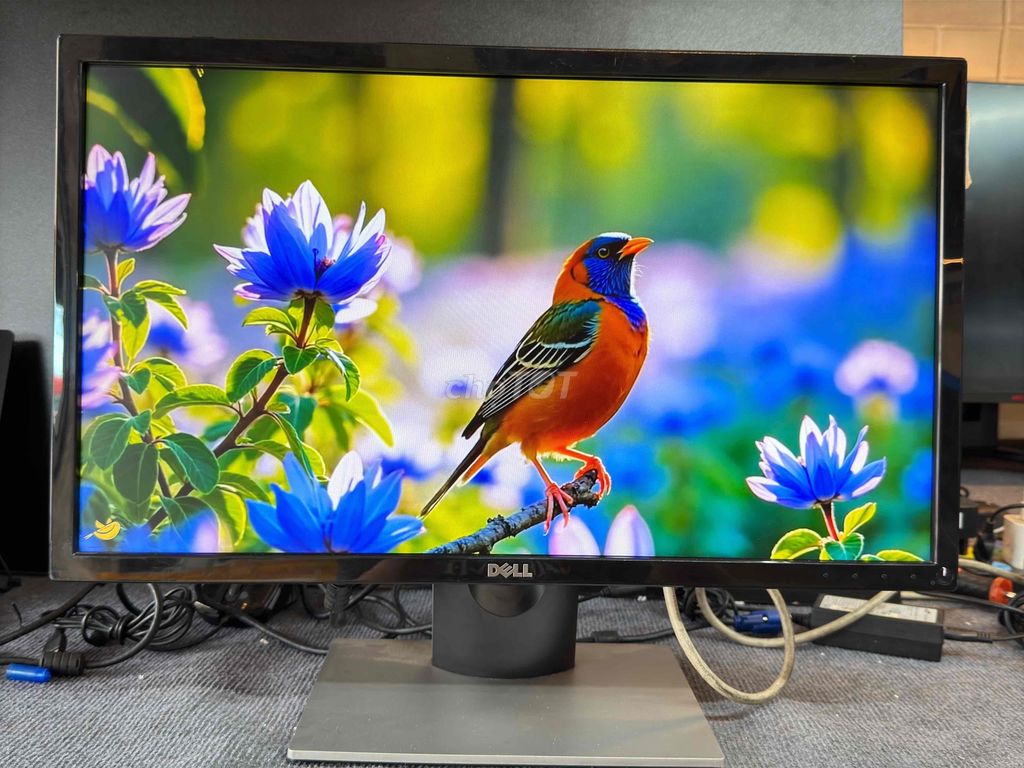 MÀN HÌNH DELL 24" 75hz đẹp zin keng nét cho ae 😗