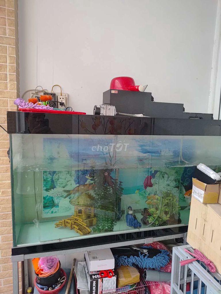 Hồ cá Kính 10 li 1m45x42cmx60cm. Mua bán Phụ kiện, Thức ăn, Dịch vụ tại Quận 6 Tp Hồ Chí Minh được đăng bởi Tran Quoc Vinh hình 1