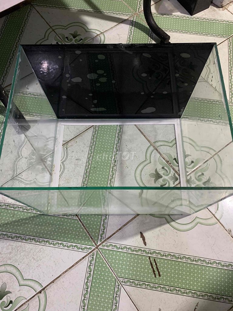 Hồ cá kính 40x30x30cm. Mua bán Phụ kiện, Thức ăn, Dịch vụ tại Thành phố Biên Hòa Đồng Nai được đăng bởi Hiền hình 1