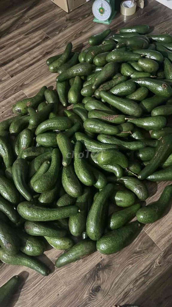 Bơ 034 Việt Nam 1kg. Mua bán Đồ ăn, thực phẩm và các loại khác tại Quận Phú Nhuận Tp Hồ Chí Minh được đăng bởi Đoàn Quỳnh Như hình 1