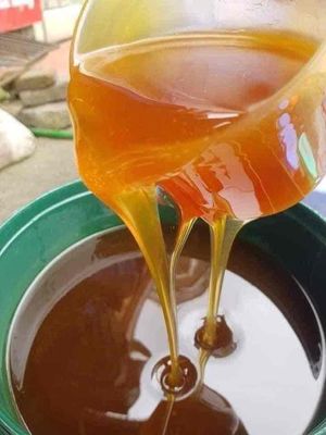 SIÊU RẺ KHI MUA TỪ 5 LÍT MẬT ONG NGUYÊN CHẤT 100%. Mua bán Đồ ăn, thực phẩm và các loại khác tại Quận Sơn Trà Đà Nẵng được đăng bởi HươngXuân 