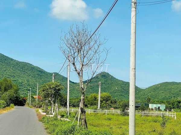 Bán 250m2 đất thổ cư Thị Trấn Phước Hải - Long Mỹ. Mua bán đất tại Huyện Đất Đỏ Bà Rịa - Vũng Tàu được đăng bởi Trần Thị Thơm hình 1