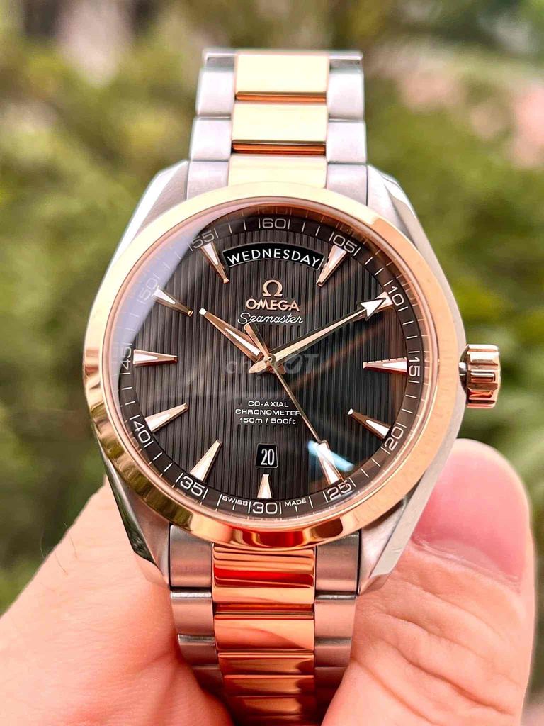 Omega Seamaster Aqua Terra 231.20.42.22.06.001