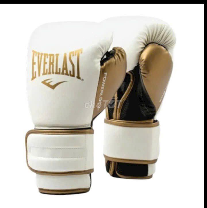 Găng tay boxing Everlast. Mua bán Đồ thể thao, Dã ngoại tại Quận Tây Hồ Hà Nội được đăng bởi Hà Nguyễn  hình 1
