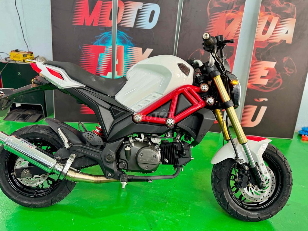 Ducati mini xe hiếm mới về, xe đẹp liền lạc , re. Mua bán Xe máy tại Thành phố Thủ Đức Tp Hồ Chí Minh được đăng bởi Cửa hàng Motor Xuân Bình  hình 1