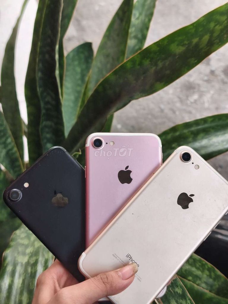 Apple iPhone 7 Đen, Hồng, Vàng. Mua bán Điện thoại tại Quận 10 Tp Hồ Chí Minh được đăng bởi Nguyễn Thị Mỹ An hình 1