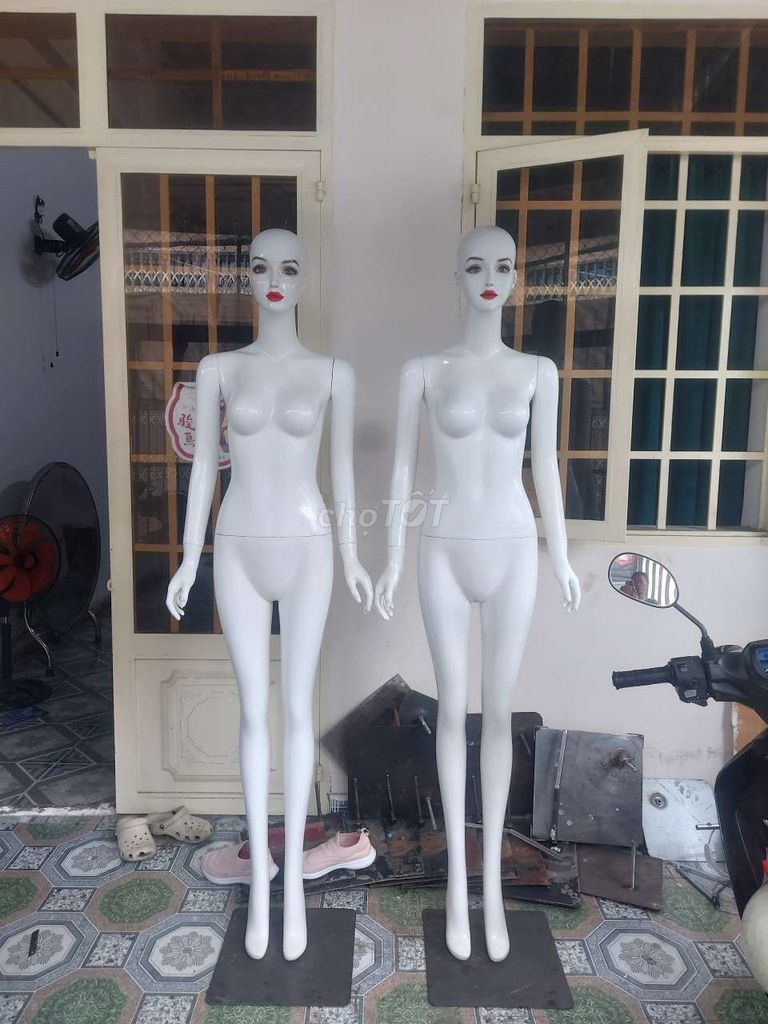 manacanh, manơcanh, ma nơ canh, ma-nơ-canh . Mua bán Đồ chuyên dụng, Giống nuôi trồng tại Quận 7 Tp Hồ Chí Minh được đăng bởi Thanhhuu hình 1