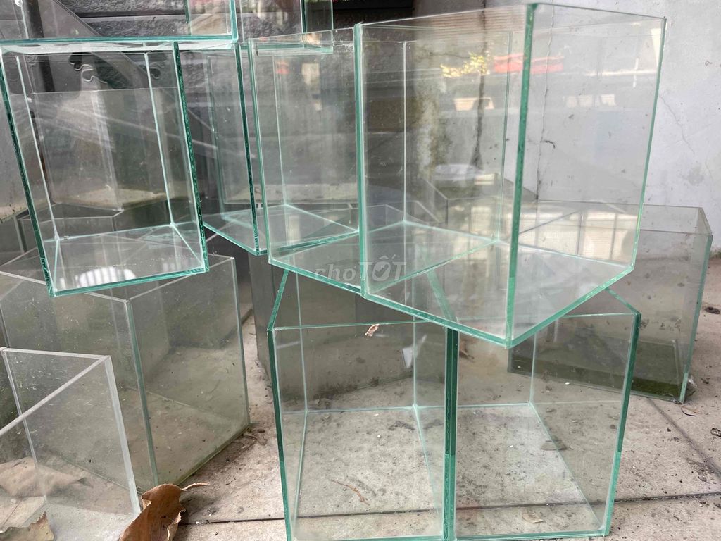 Hồ cá thủy tinh Mini. Mua bán Phụ kiện, Thức ăn, Dịch vụ tại Huyện Long Thành Đồng Nai được đăng bởi Nguyễn Hữu Hiệp hình 1